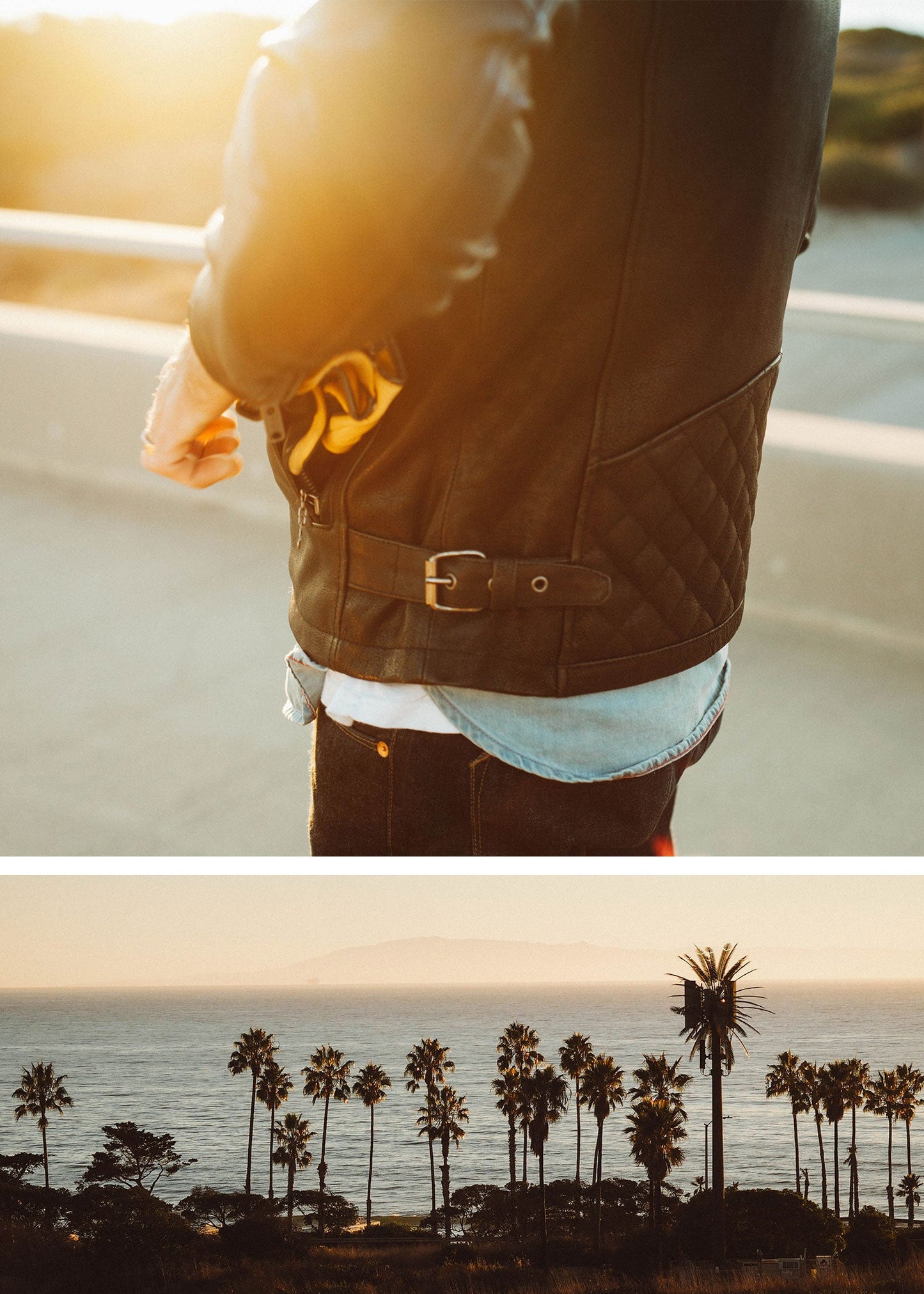 Iron & Resin Truckston Moto Jacket in Black Leather With CE Level 2 Armor